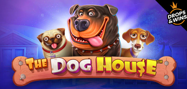 Características do The Dog House, Mecânicas do The Dog House, Recursos especiais The Dog House, Tema do The Dog House, Design visual The Dog House